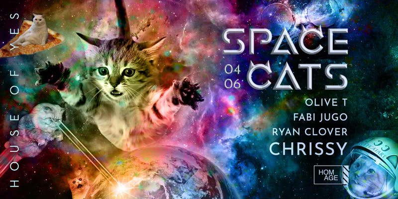 space cats